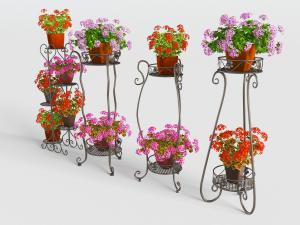 欧式铁艺花架盆栽植物