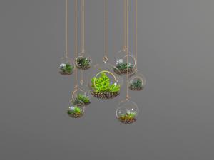 现代玻璃多肉花植吊篮植物3d模型 现代玻璃多肉花植吊篮植物