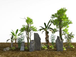 石头、椰子树景观小品