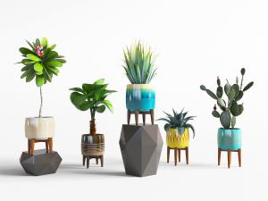 现代陶瓷花盆盆栽植物