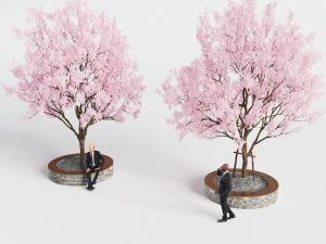 圆形花坛里的开满花朵的景观树木