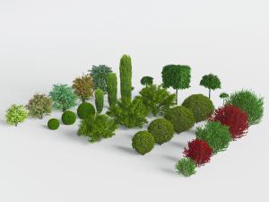 景观花草灌木丛