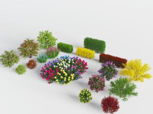 现代地面花草植物