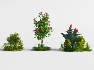 三丛户外花草植物