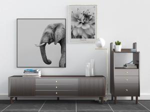 北欧实木电视柜、边柜置物柜