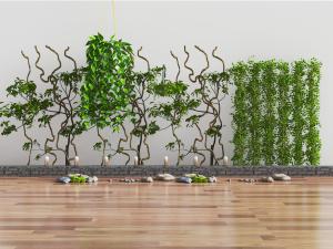 中式庭院藤蔓植物、石头景观小品