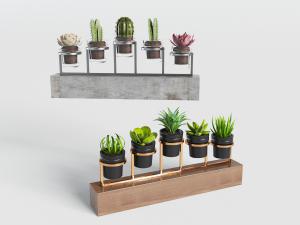 现代金色花架多肉盆景盆栽