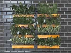 固定到墙面的实木花盆盆栽植物