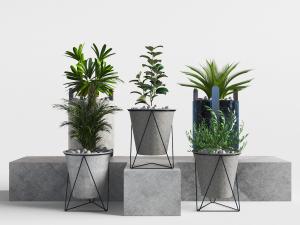 阳台水泥花盆盆景盆栽