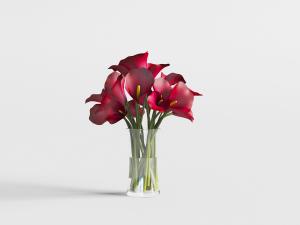 玻璃花瓶里的红色马蹄莲花卉