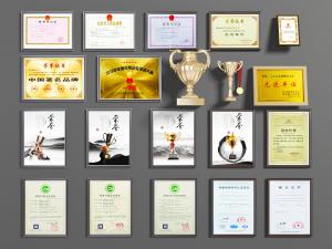 企业规章制度荣誉证书营业执照奖牌奖杯3d模型 企业规章制度荣誉证书营业执照奖牌奖杯