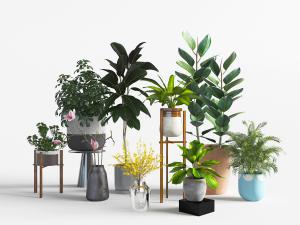 盆栽植物花卉花架