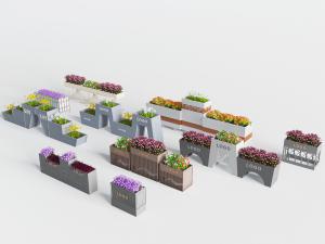 现代户外花盆盆栽植物