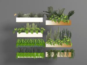 现代长方形花盆盆栽植物