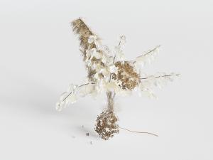 现代花瓶花卉干枝