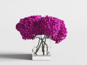 透明玻璃花瓶里的绣球花