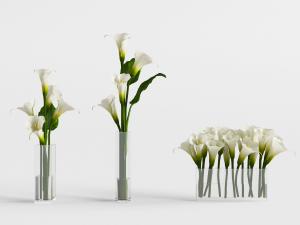 马蹄莲花瓶花卉