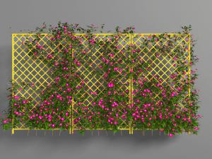 爬满花架开着红色花朵的藤蔓植物