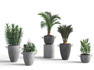 北欧水泥花盆盆栽植物