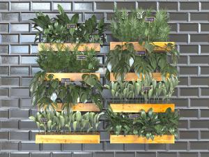 现代挂在墙面上的盆栽植物