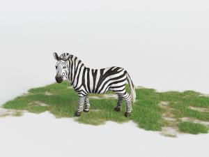 在草地上吃草的斑马