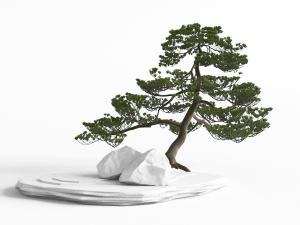 中式松树、石头景观小品