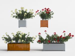 长方形实木花盆盆栽植物