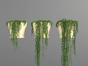 现代多肉吊篮植物3d模型 现代多肉吊篮植物