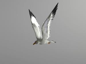 现代展翅飞翔的海鸥墙饰挂件