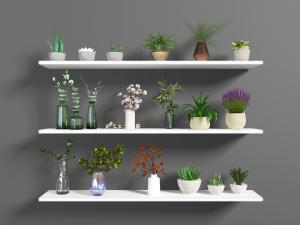 北欧置物架上的花瓶花卉、盆栽植物