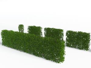 户外长方形植物墙