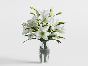 现代玻璃透明花瓶百合花花卉