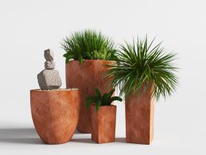 土陶黄色花盆盆栽植物