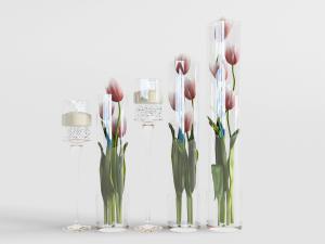 现代透明花瓶郁金香花瓶花卉