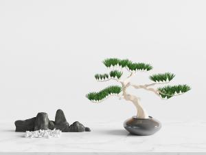 中式黑色陶瓷花盆盆景植物