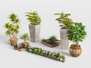 梯形水泥、藤编、实木花盆盆栽植物