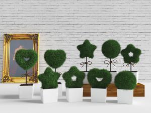 现代白色方形花盆星星、心形盆栽植物