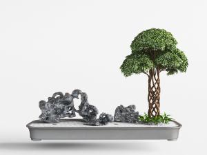 中式假山发财树盆景盆栽