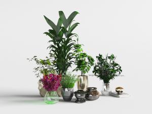 新中式陶瓷盆栽植物