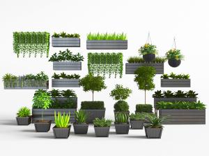 现代长方形花盆盆栽植物