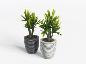 现代花纹装饰的花盆盆栽植物