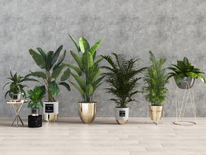 现代轻奢花盆盆栽植物