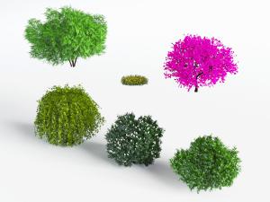 不同种类的灌木丛