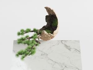 新中式蛋壳状盆景植物