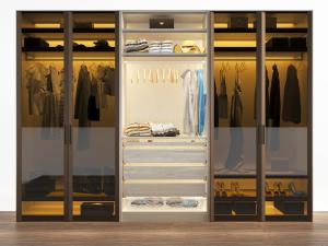 现代装饰灯带玻璃柜门的衣柜
