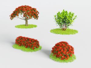 秋天长满花色树叶的灌木丛