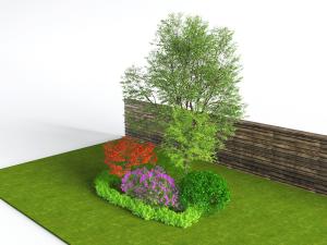 红叶树灌木绿植树木