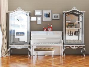 欧式钢琴玻璃装饰柜