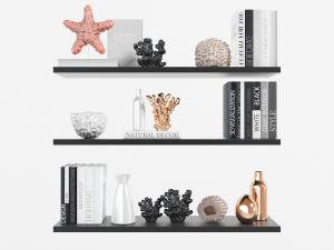 装饰海星珊瑚书籍的置物架隔板