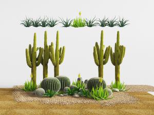 种植有仙人球仙人柱石头的景观小品